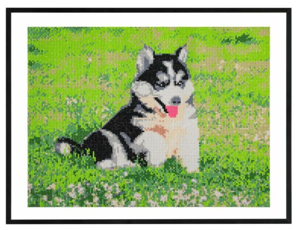 Diamond Painting 40x50cm - Image 5