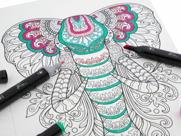 16 Marker Colouring Sheets - Image 4