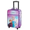 Frozen Cabin Luggage