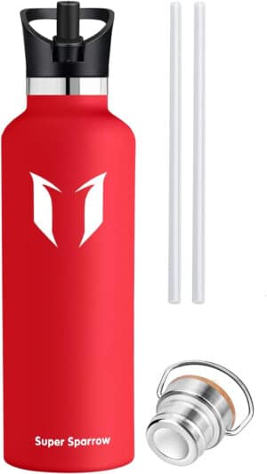Vacuum Insulated Stainless Steel Water Bottle 750ml Lava