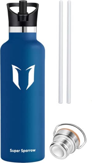 Vacuum Insulated Stainless Steel Water Bottle 620ml Cobalt Blue