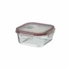 Lunch Box With Vent Valve 16 X 16 X 7 Cm