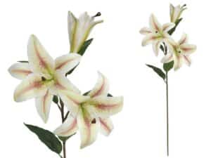Lilium - 79 Cm Real Touch