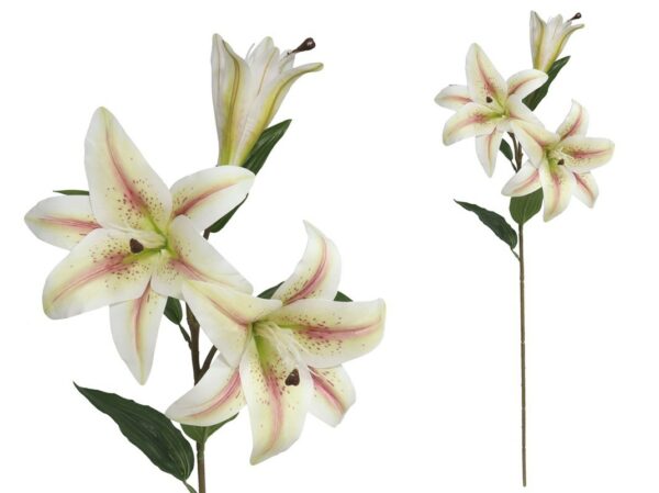 Lilium - 79 Cm Real Touch