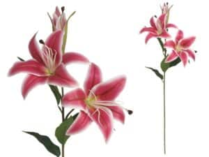 Lilium - 79 Cm Real Touch