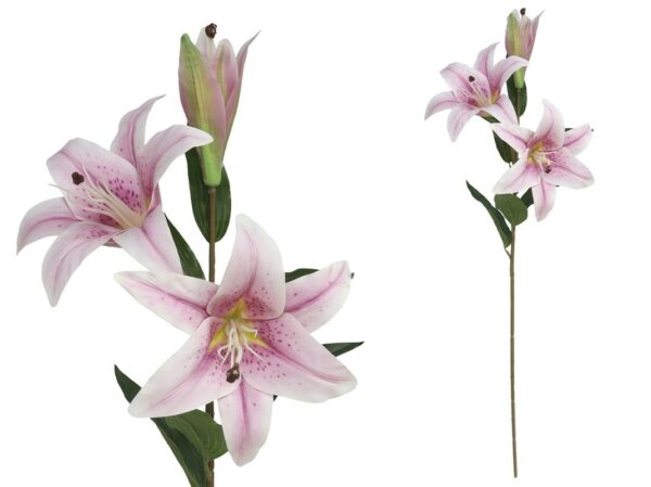 Lilium - 79cm Real Touch