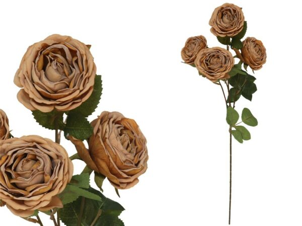 Rose Dried Bunch x4