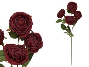 Rose X4 Bunch Dried