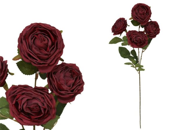 Rose X4 Bunch Dried