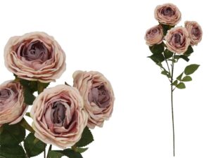 Rose Dried Flower Bunch x4