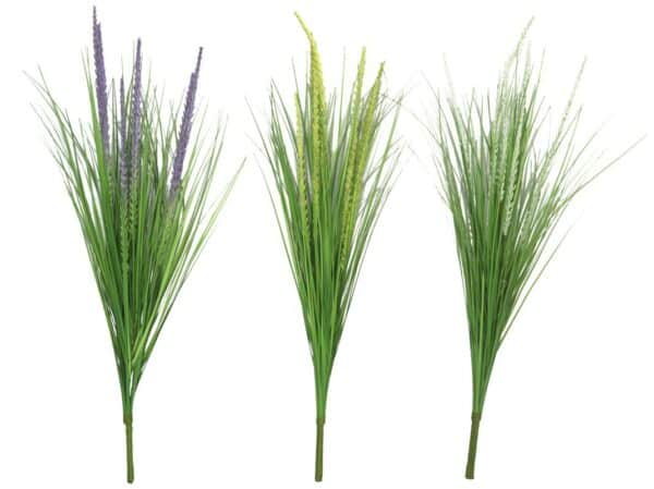 Lavender With Grass