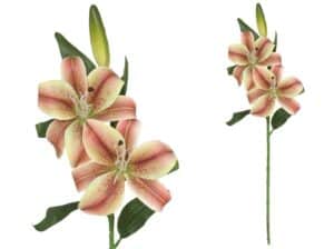 Lilium x3 Real Touch 70cm