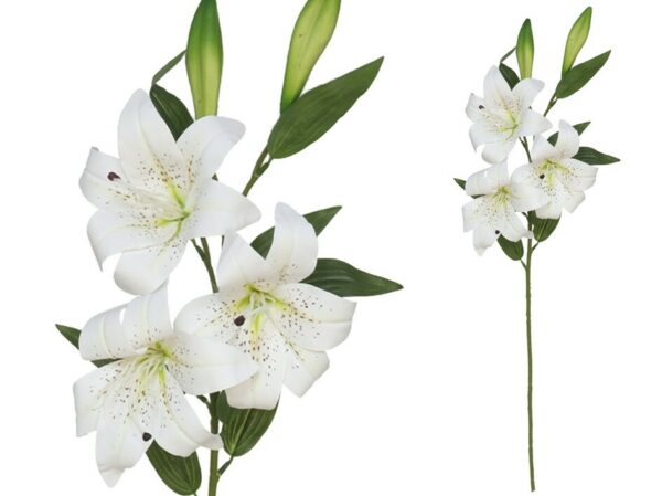 Lilium Bunch X 5 Real Touch
