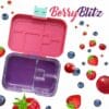 Munchbox Mini 4 Berry Blitz - Image 5