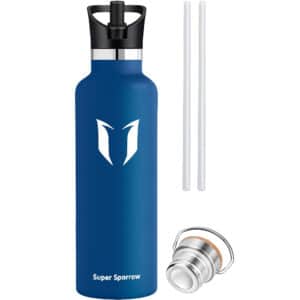 Super Sparrow Vacuum Insulated Stainless Steel Water Bottle 1000ml Blueberry