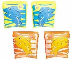 Armbands Fruits 2 Assorted Inflatable 25 X 15 Cm (Age +3 Years)