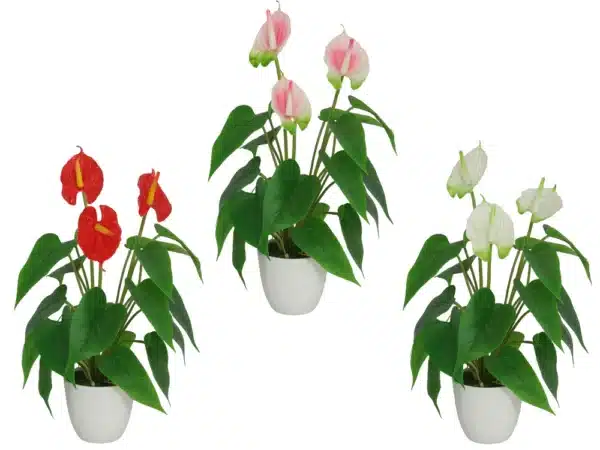 Artificial Anthurium In White Pot 40cm