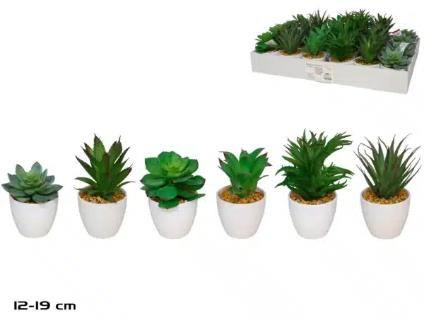 Artificial Succulent Plant In White Pot 19cm