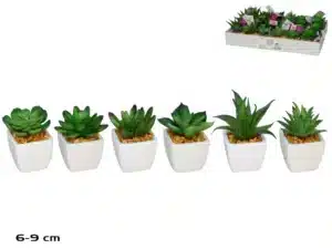 Artificial Succulent Plant In White Square Pot 9cm