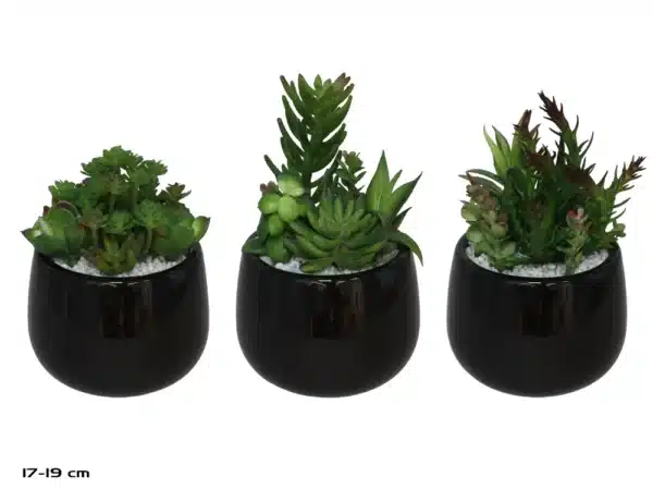 Artificial Succulent Plant In black Ceramic Pot 19cm