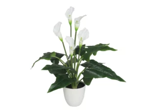 Artificial Plant With White Flowers in White Pot 62cm
