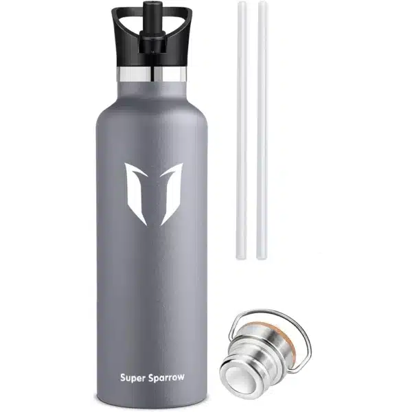 Vacuum Insulated Stainless Steel Water Bottle 750ml Grey