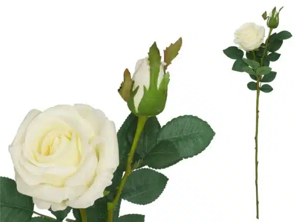 Rose Real Touch x2 65cm