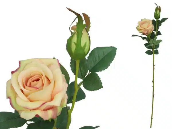 Rose Real Touch x2 65cm