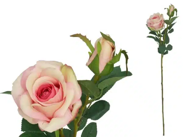 Rose Real Touch x2 65cm