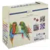 Round Dual Tip Markers, 48 Pcs In Window Cardboard Box - Image 3
