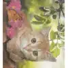 Diamond Painting On Cardboard A4, 4 Assorted - Image 5