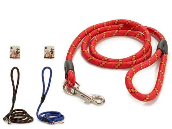 Strap With Stripes Assorted 3 Colours