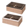 Wooden Box 2 Assorted Models with glass 24 X 16 X 8 Cm