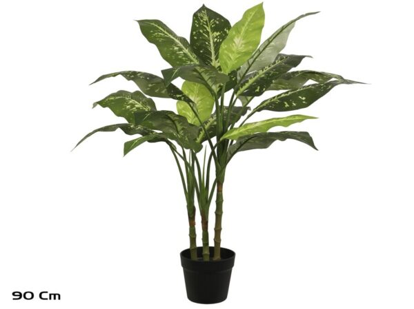 Dieffenbachia Plant X 3 Stems - 90 Cm