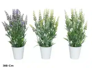 Lavender In Pot-38cm