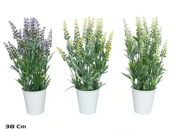 Lavender In Pot-38cm