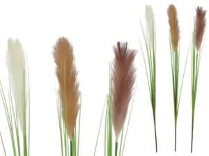 Pampas Grass 95cm