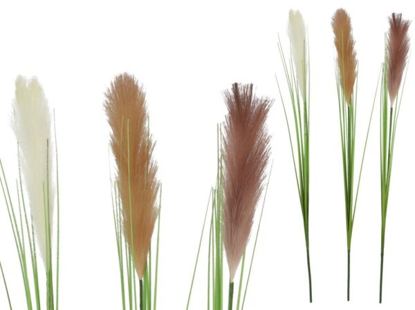 Pampas Grass 95cm