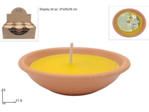 Citronella 11.5cm in terracotta container