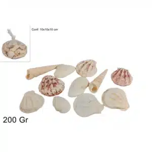 Decorative Sea Shells 200gr