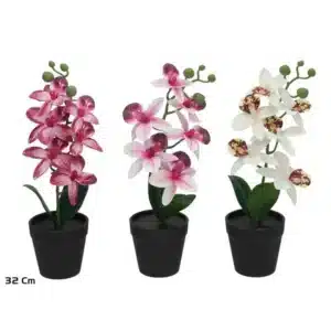 Orchid Pot 32 Cm (6 Assorted models)