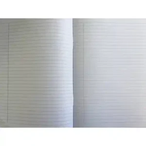 Lines Copybook Wide Lines With Columns 48pg